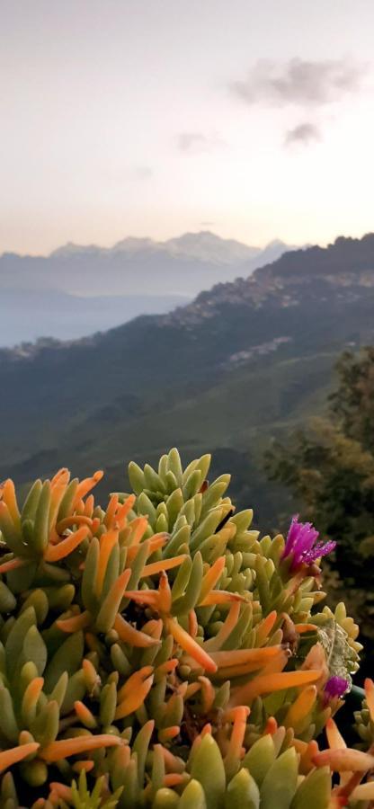 Rajbari Farms Villa Darjeeling  Luaran gambar